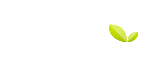 Presse Citron